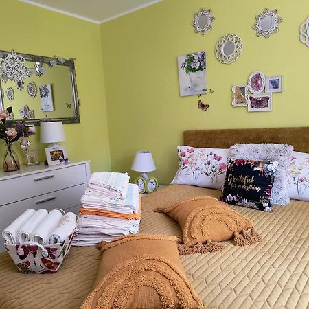Sweet Butterflies Residence Braşov Dış mekan fotoğraf