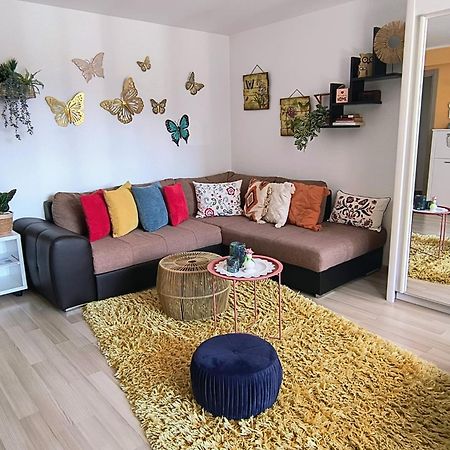 Sweet Butterflies Residence Braşov Dış mekan fotoğraf