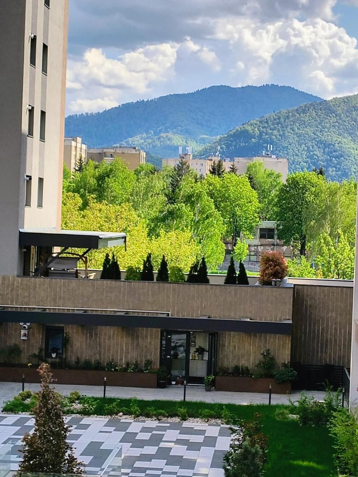 Sweet Butterflies Residence Braşov Dış mekan fotoğraf