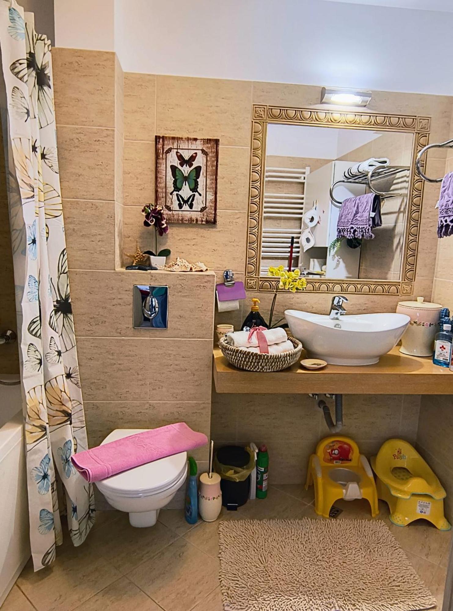 Sweet Butterflies Residence Braşov Dış mekan fotoğraf