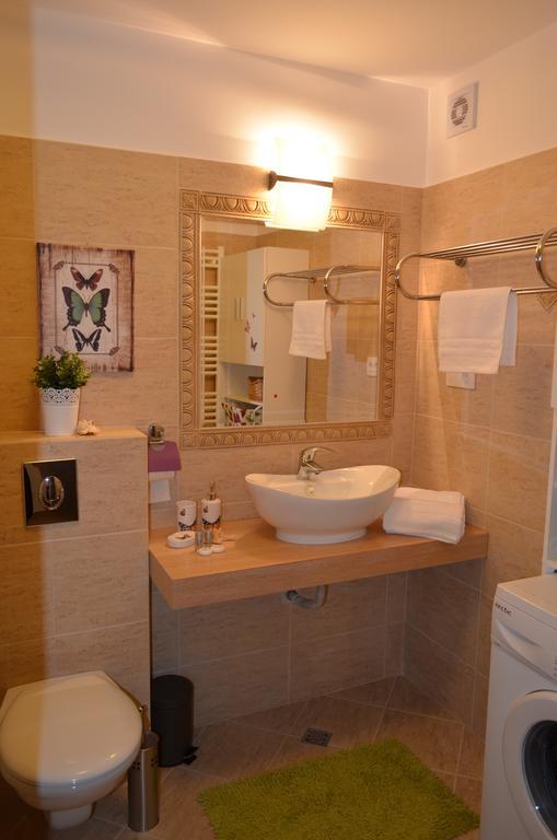 Sweet Butterflies Residence Braşov Dış mekan fotoğraf
