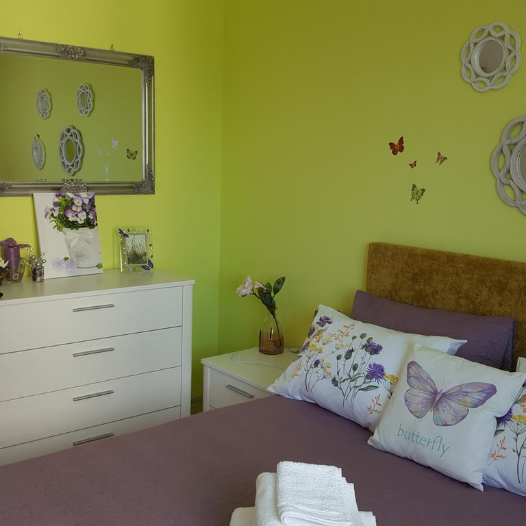 Sweet Butterflies Residence Braşov Dış mekan fotoğraf