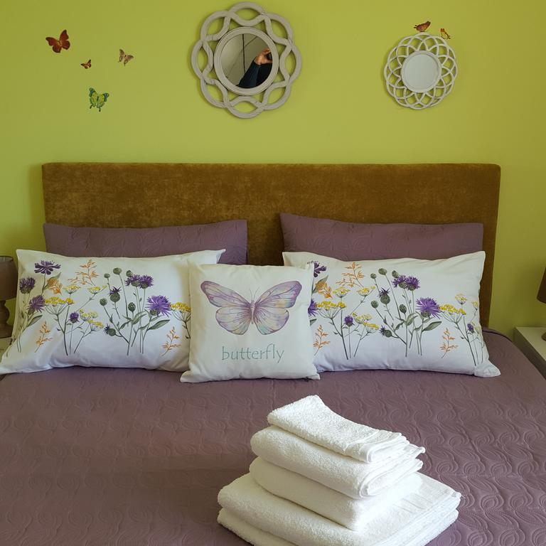 Sweet Butterflies Residence Braşov Dış mekan fotoğraf