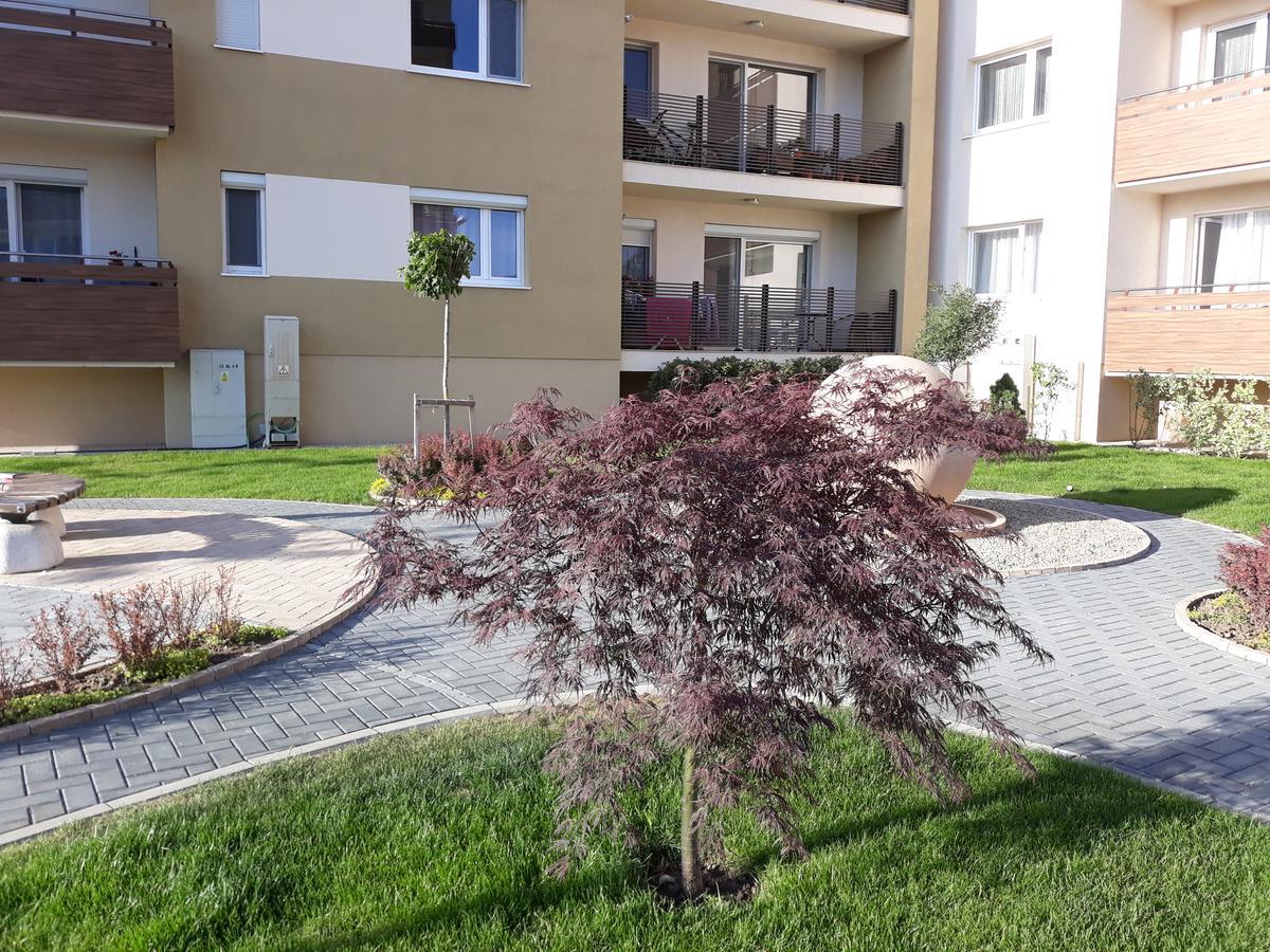 Sweet Butterflies Residence Braşov Dış mekan fotoğraf