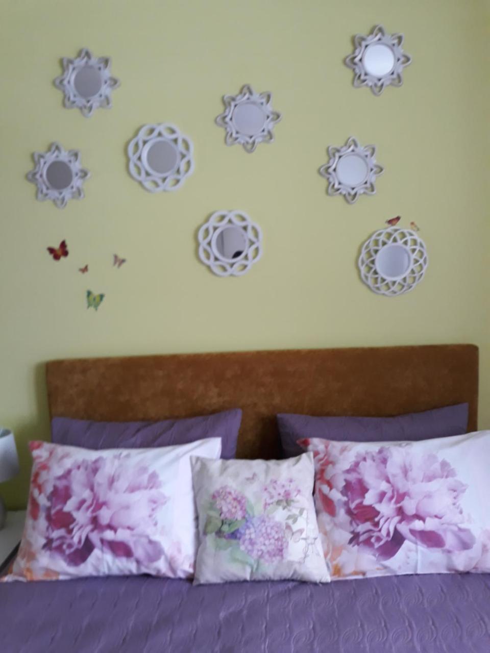 Sweet Butterflies Residence Braşov Dış mekan fotoğraf