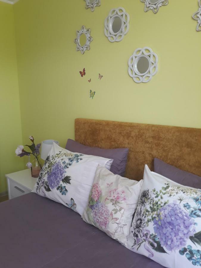 Sweet Butterflies Residence Braşov Dış mekan fotoğraf
